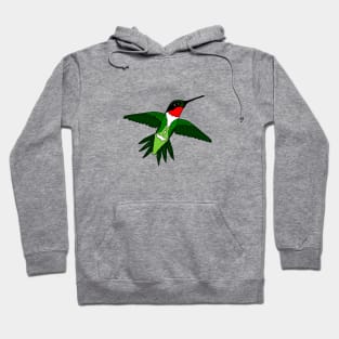 Colorful Ruby-Throated Hummingbird Hoodie